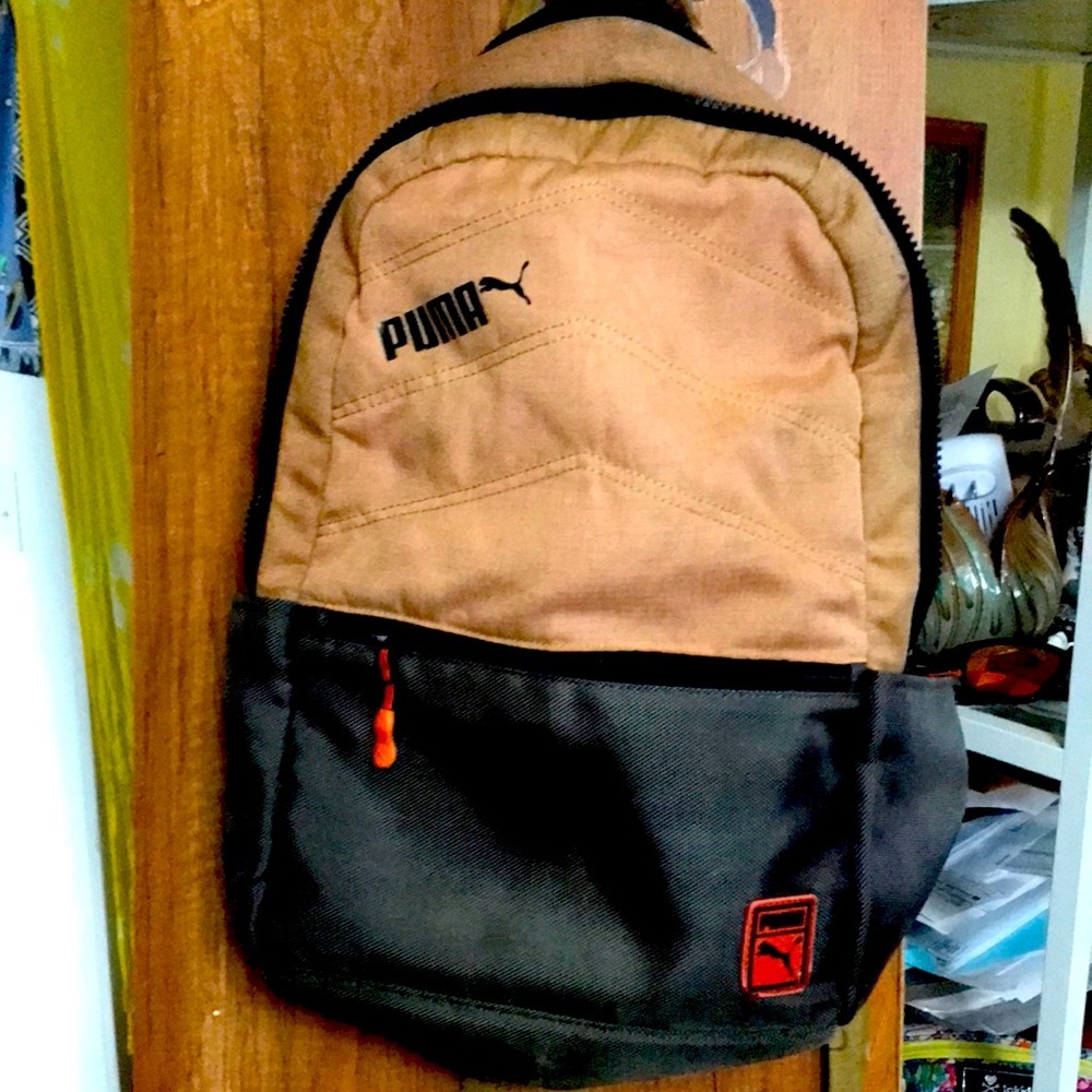 Puma bag